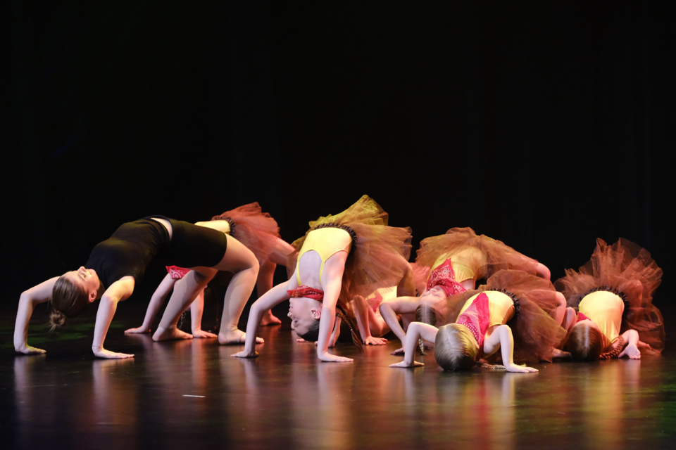 Gym danse (petite enfance)